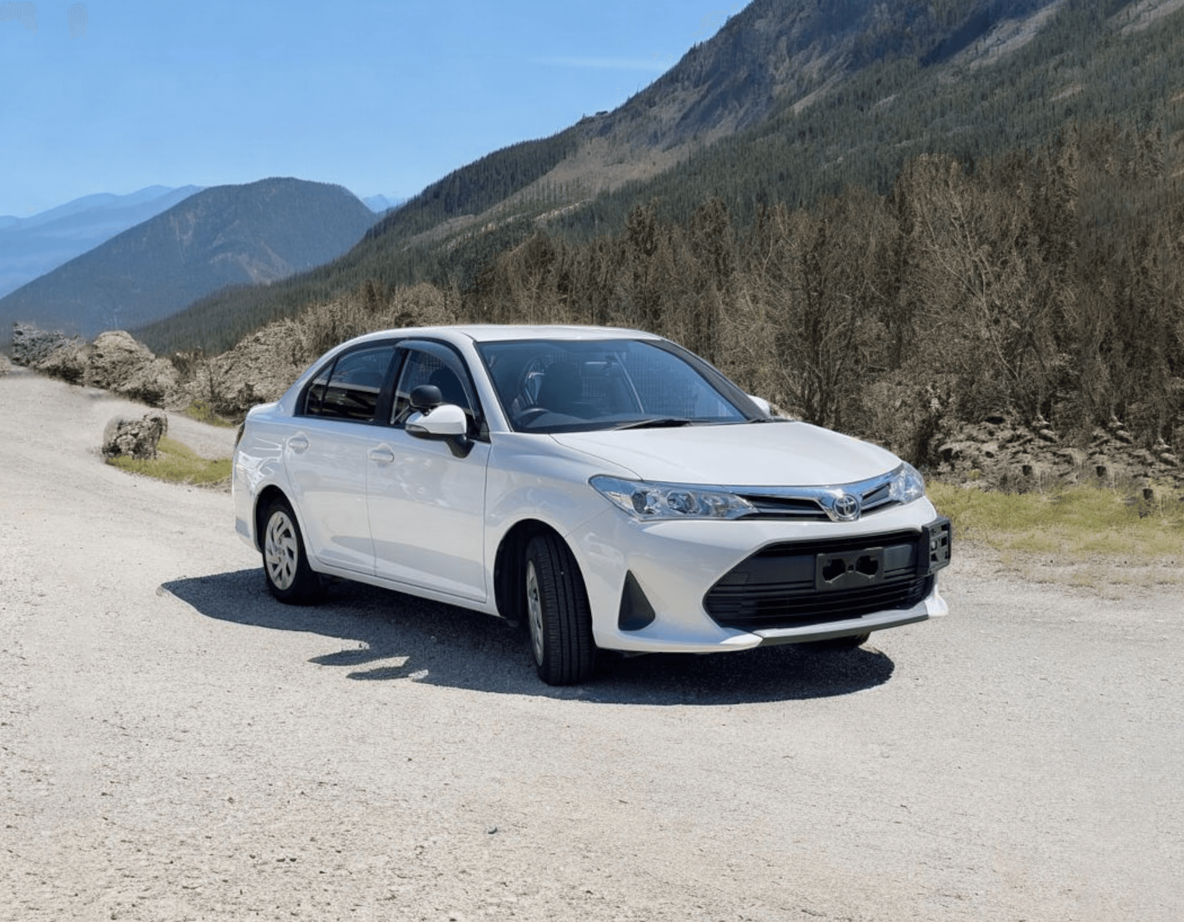 Toyota Corolla Axio Hybrid