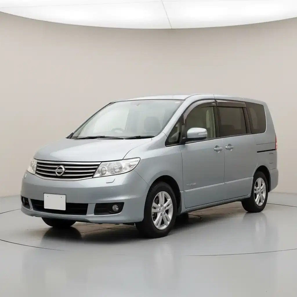 Nissan Serena Lifecare - View 1