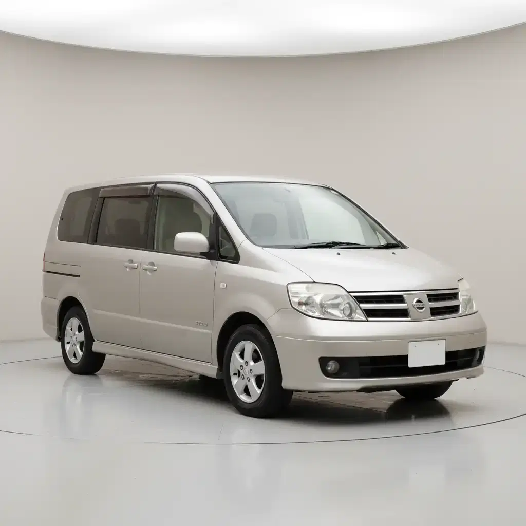Nissan Serena Lifecare - View 1
