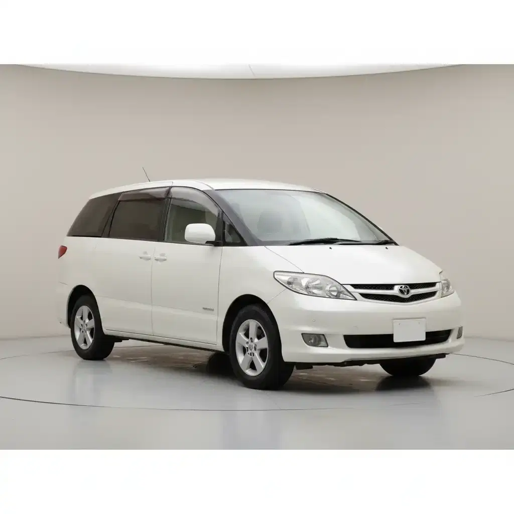 Toyota Estima Welcab - View 1