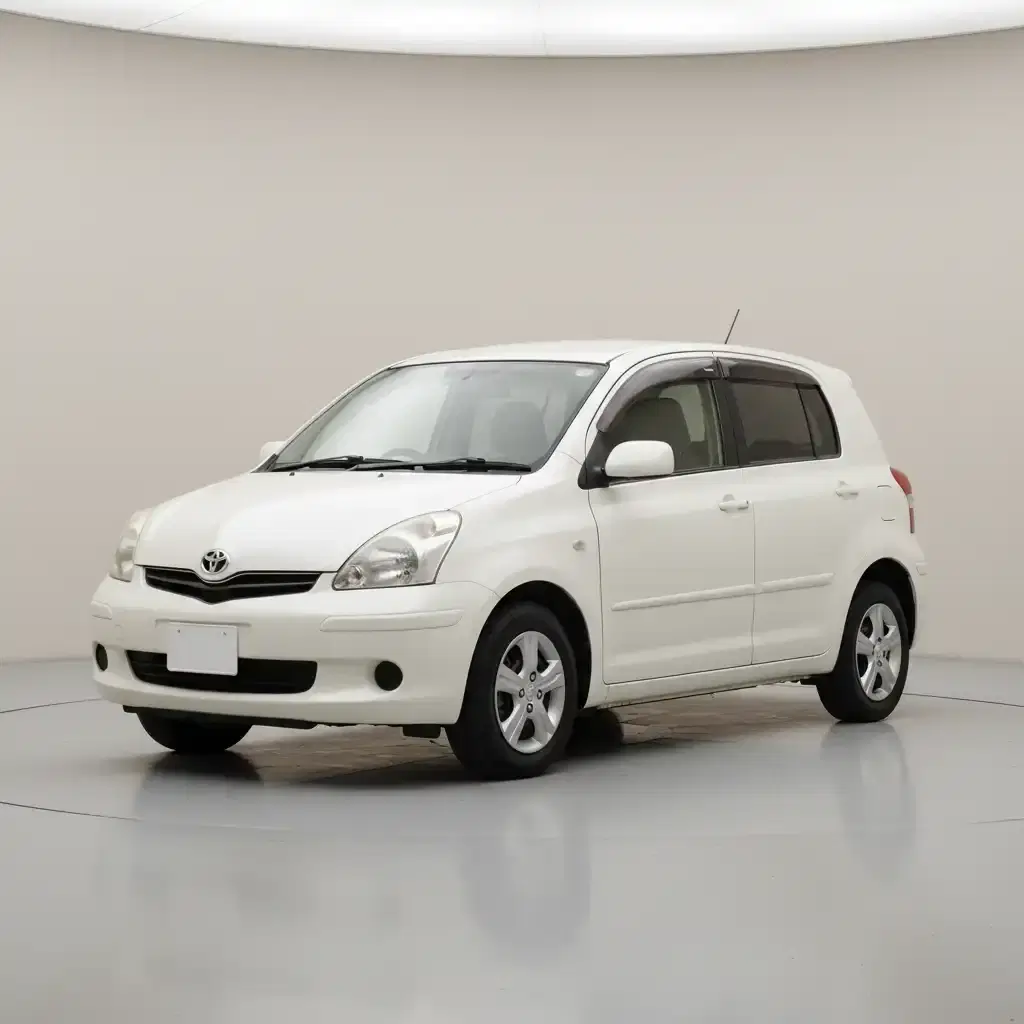 Toyota Ractis Welcab - View 1